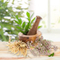 //jnrorwxhrkiklo5q-static.ldycdn.com/cloud/liBpjKnilqSRqiiqnrpkiq/best-pure-valerian-oil-Chinaplantoil-640-640-removebg-preview-60-60.jpg