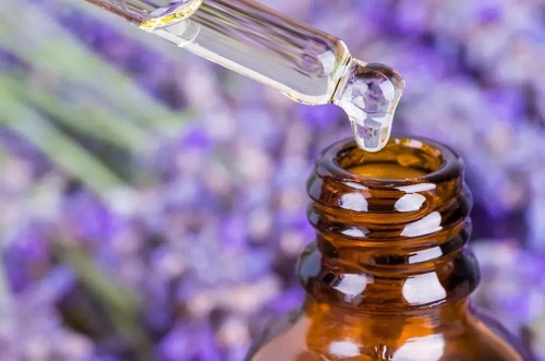 lavender aroma oil manufacturers - Chinaplantoil.jpg