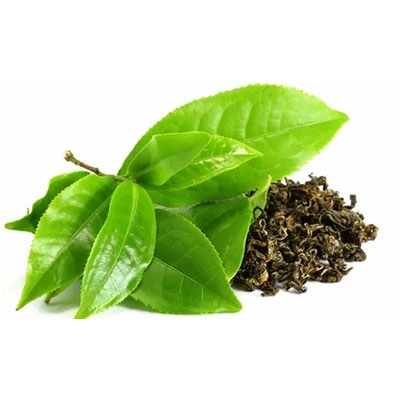 Aceite de té verde