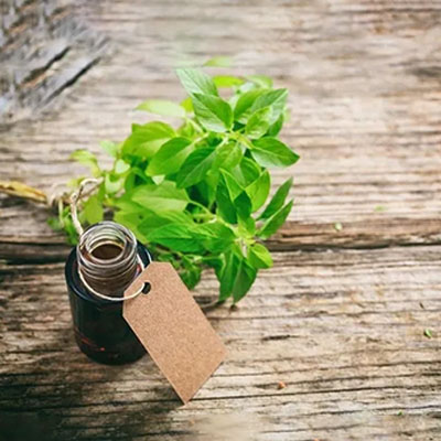 Aceite de albahaca