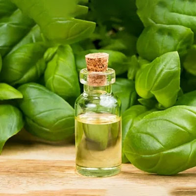 Aceite de albahaca
