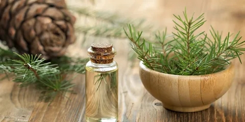 Aceite de cedro