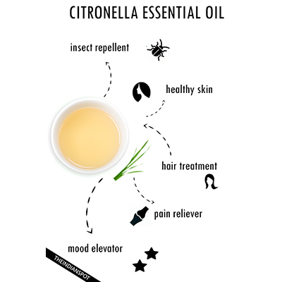 Aceite de citronela